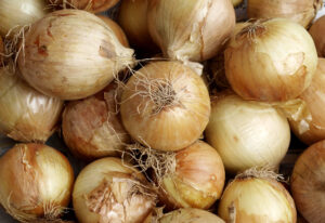 Potato onion