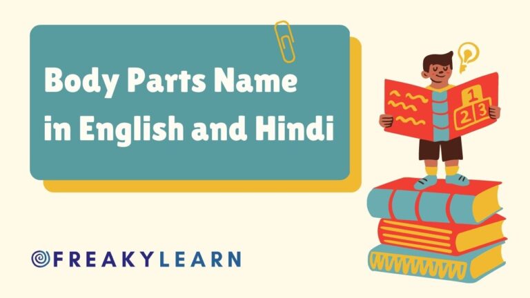 20 Body Parts Name in English and Hindi