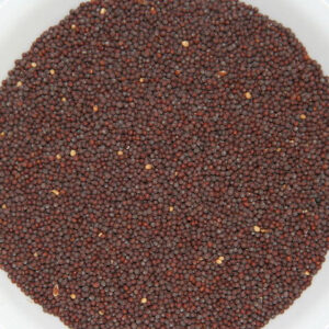 Brown mustard Seed