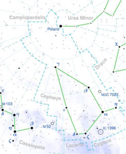 Cepheus