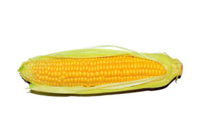 Corn, maize
