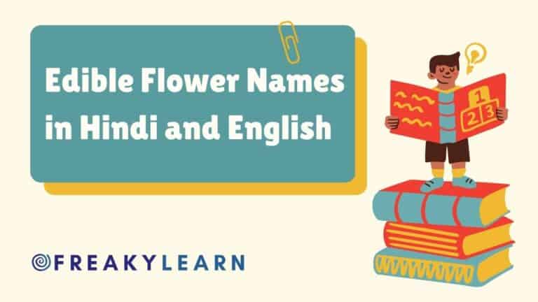 50 Edible Flower Names in Hindi and English