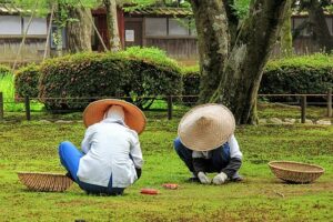 Gardener