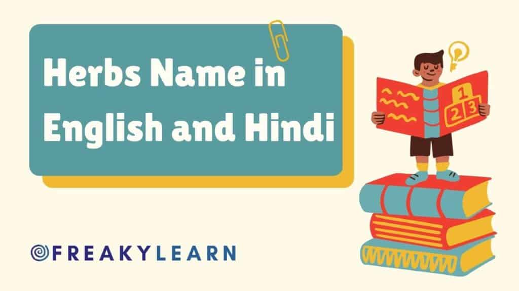 50-herbs-name-in-english-and-hindi-freakylearn