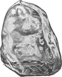 Jagersfontein Diamond