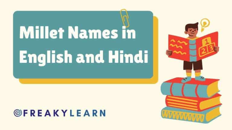 Millet Names in English and Hindi
