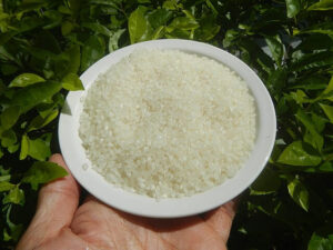 Parboiled rice