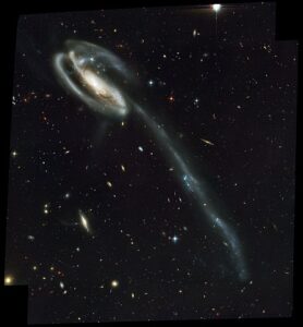 Tadpole Galaxy