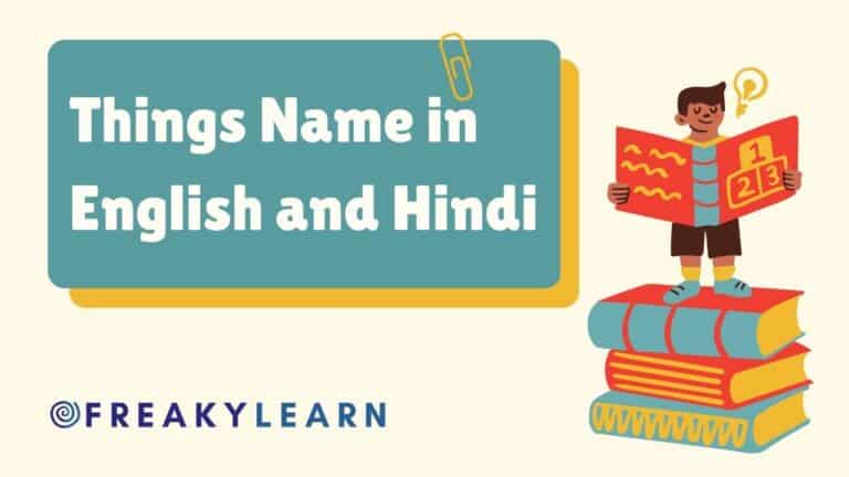 50 Things Name in English and Hindi