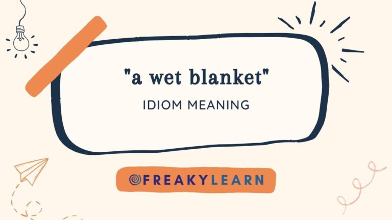 A Wet Blanket: Meaning in Hindi & English