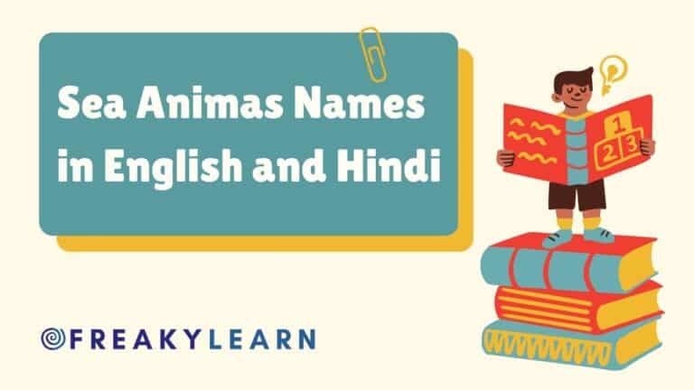 50 Sea Animas Names in English and Hindi