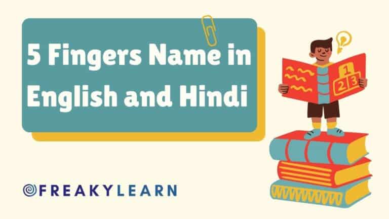 5 Fingers Name in English and Hindi