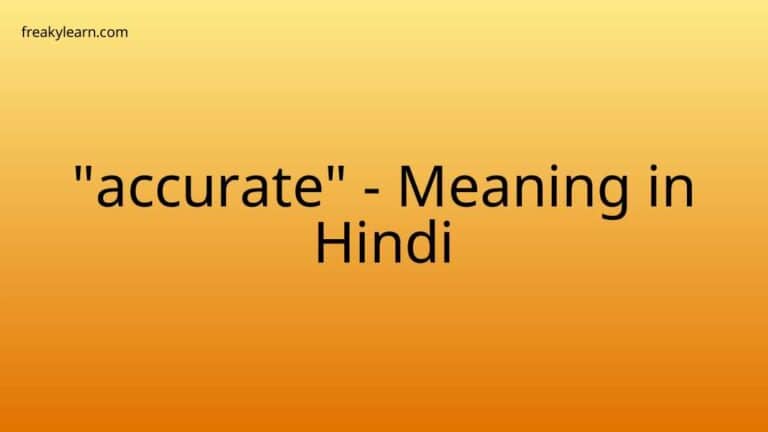 “accurate” Meaning in Hindi