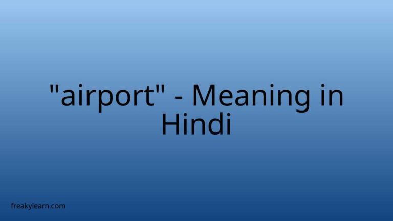 “airport” Meaning in Hindi