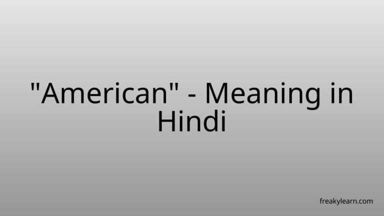 “American” Meaning in Hindi