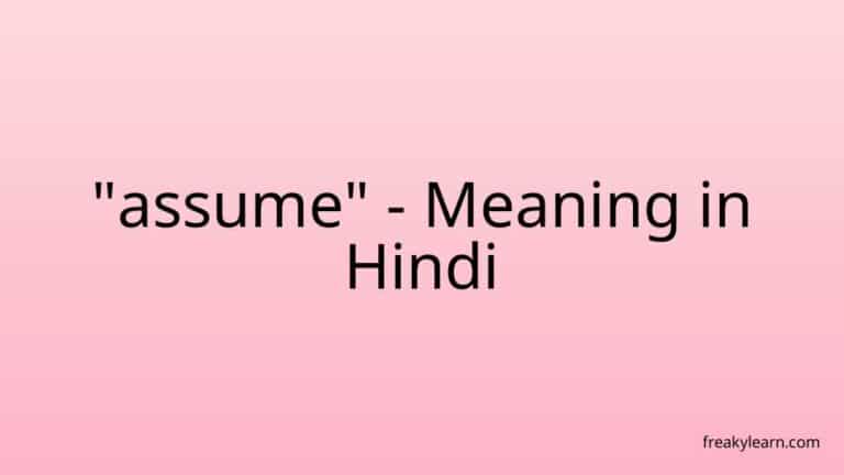 “assume” Meaning in Hindi