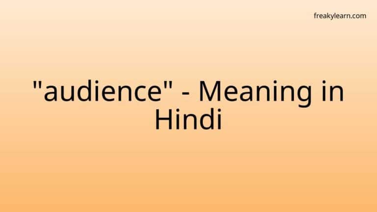 “audience” Meaning in Hindi