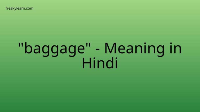 “baggage” Meaning in Hindi