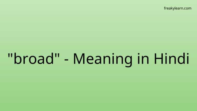 “broad” Meaning in Hindi