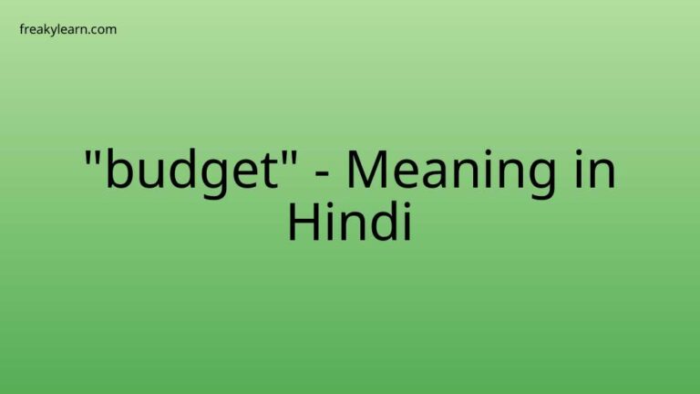 “budget” Meaning in Hindi