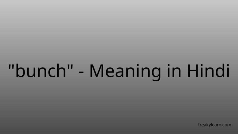 “bunch” Meaning in Hindi