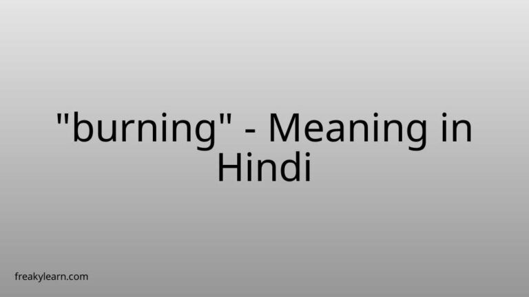 “burning” Meaning in Hindi