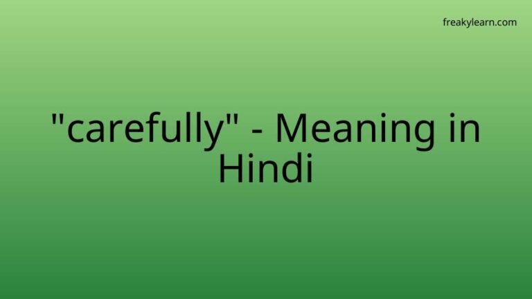 “carefully” Meaning in Hindi