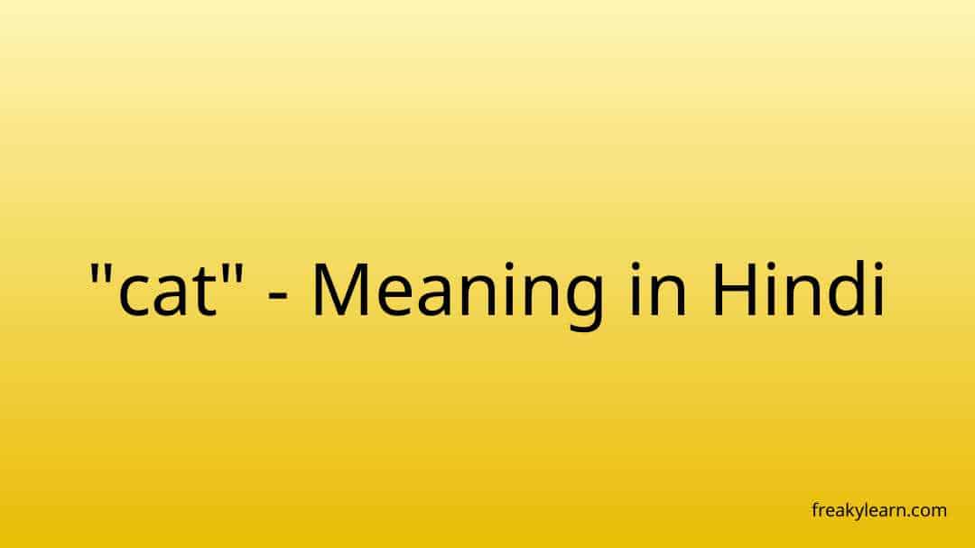 cat-meaning-in-hindi-freakylearn