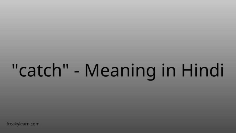 “catch” Meaning in Hindi