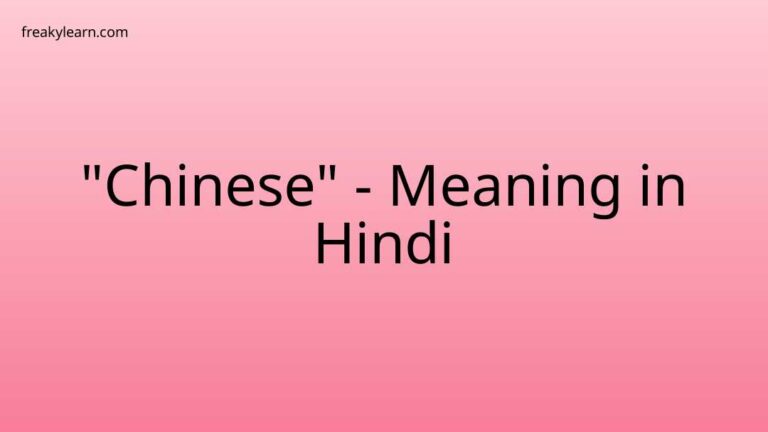 “Chinese” Meaning in Hindi