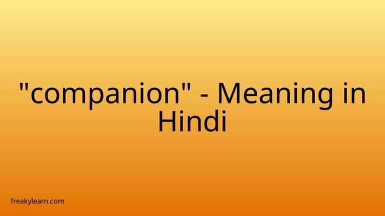 “companion” Meaning in Hindi