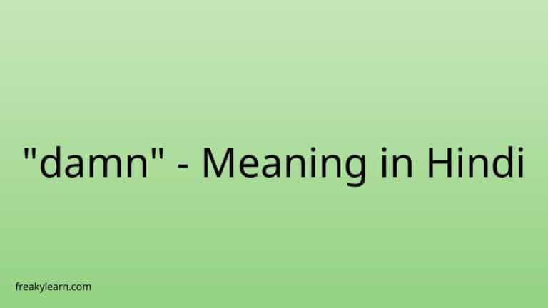 “damn” Meaning in Hindi