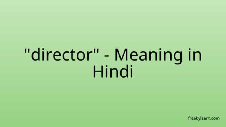 “director” Meaning in Hindi