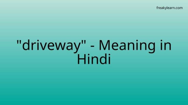 “driveway” Meaning in Hindi