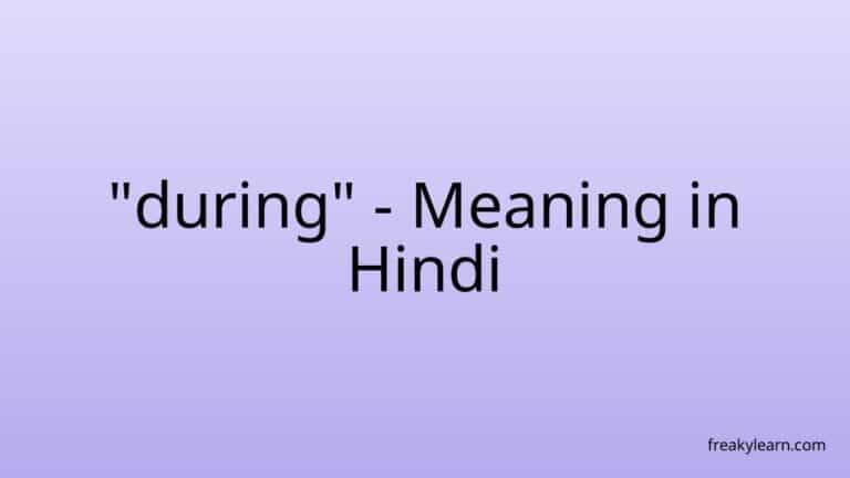 “during” Meaning in Hindi