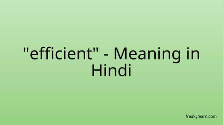 “efficient” Meaning in Hindi