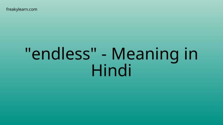 “endless” Meaning in Hindi