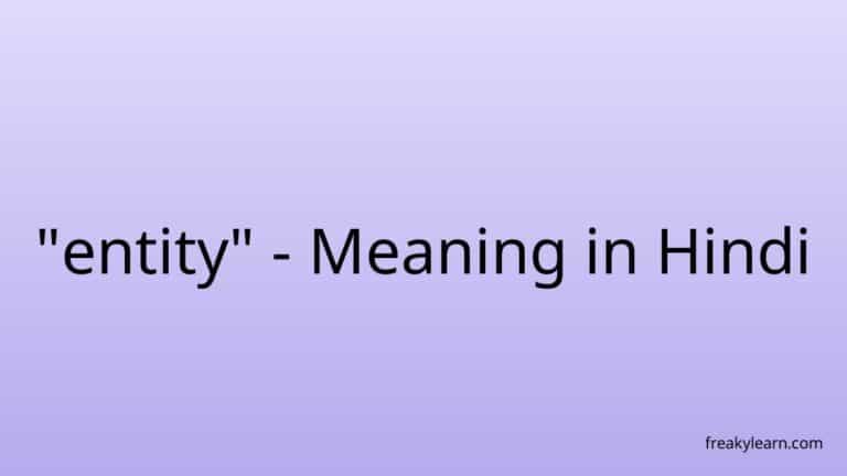 “entity” Meaning in Hindi