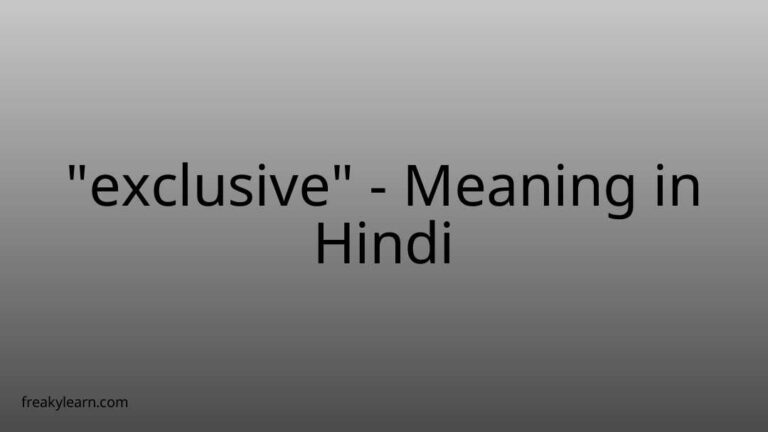 “exclusive” Meaning in Hindi