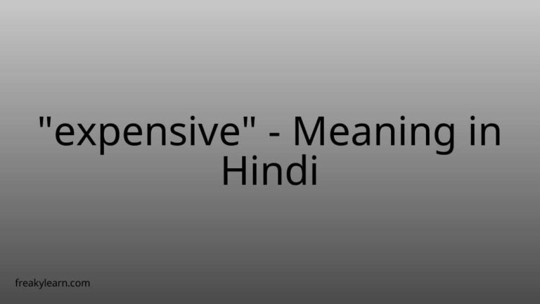 “expensive” Meaning in Hindi