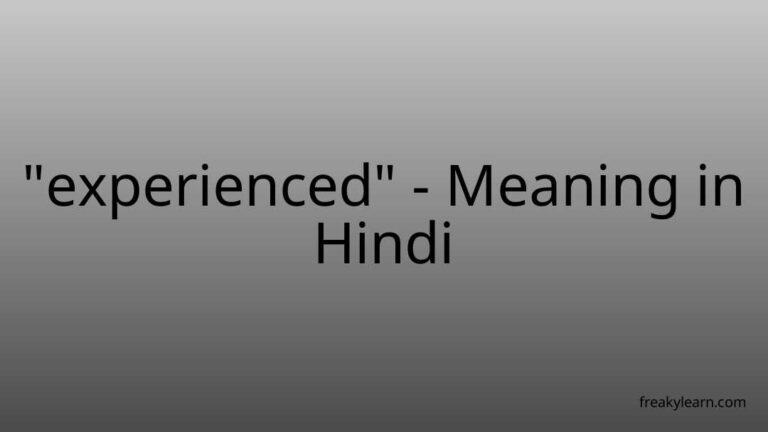 “experienced” Meaning in Hindi