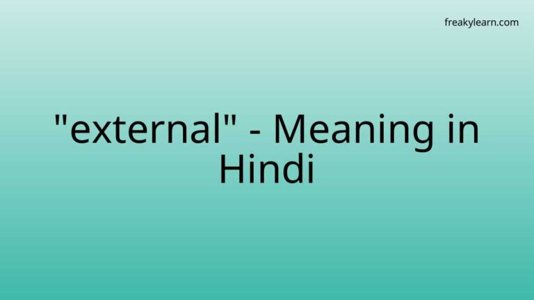 “external” Meaning in Hindi