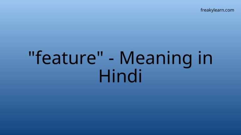 “feature” Meaning in Hindi