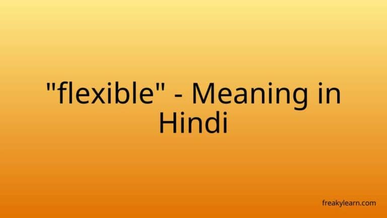 “flexible” Meaning in Hindi