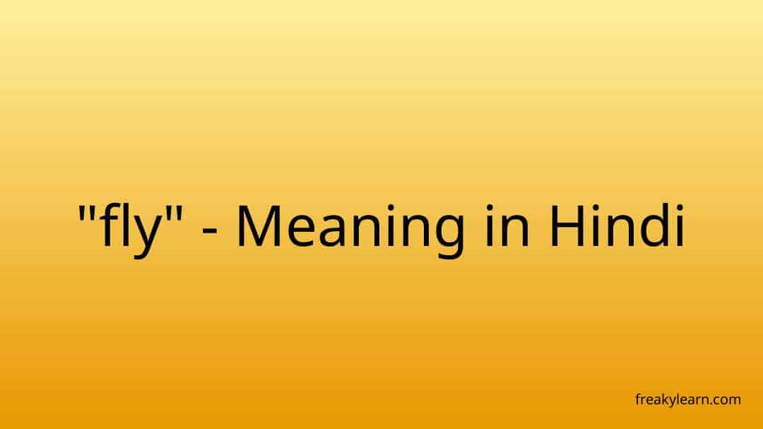 fly-meaning-in-hindi-freakylearn