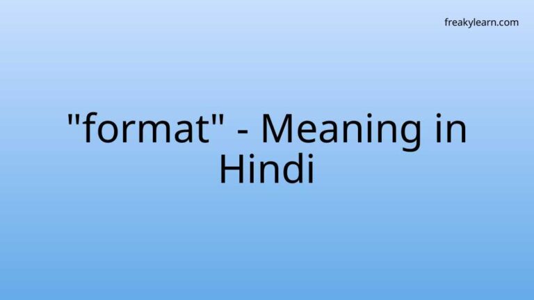 “format” Meaning in Hindi