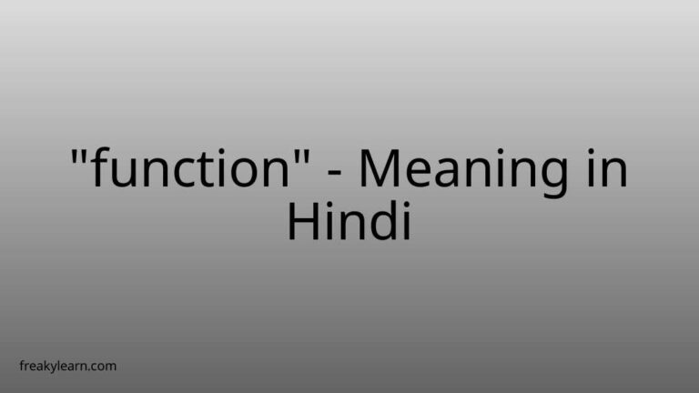 “function” Meaning in Hindi