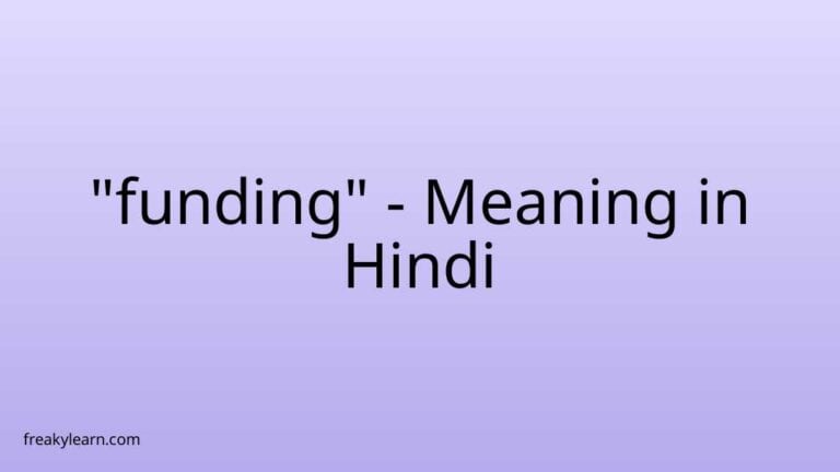 “funding” Meaning in Hindi