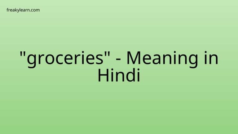 “groceries” Meaning in Hindi