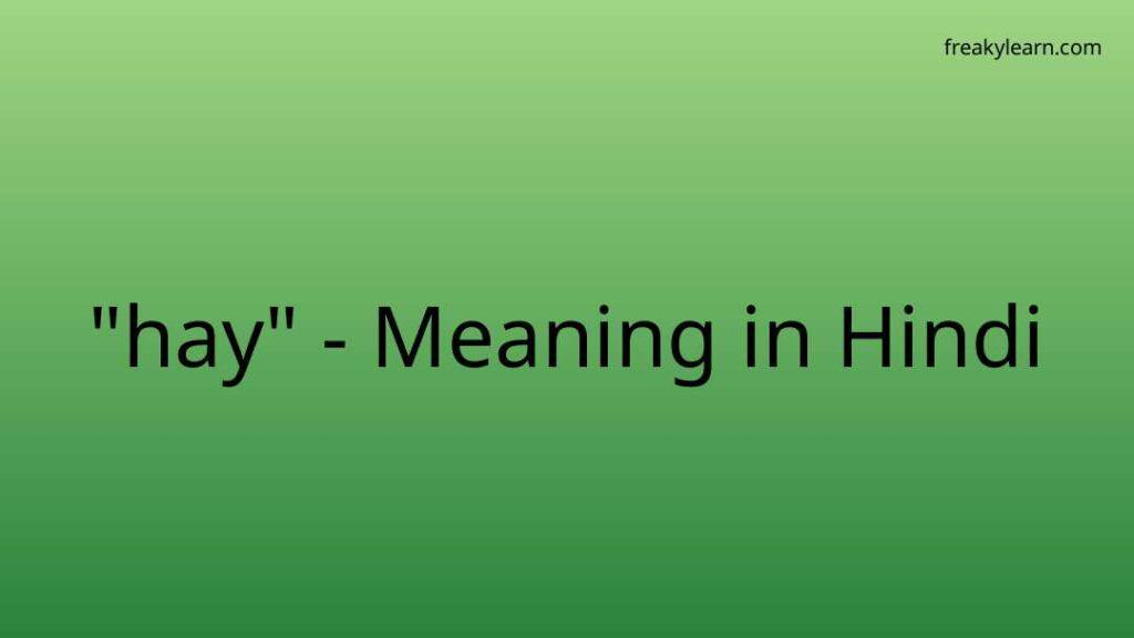 hay-meaning-in-hindi-freakylearn